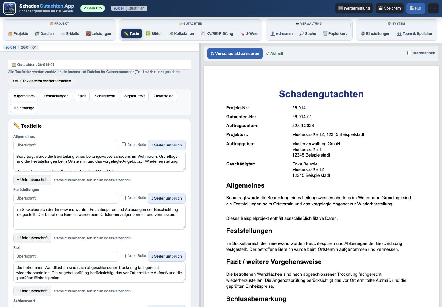 Originale App-Oberfläche: links Allgemeines, Feststellungen und Fazit; rechts die Dokumentvorschau mit fiktiven Projektdaten.